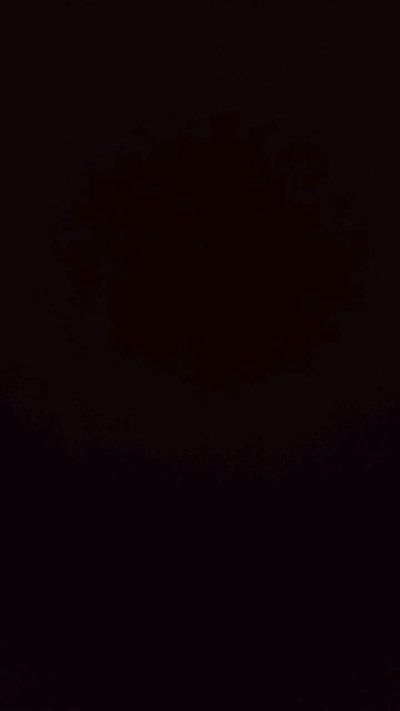 Alexandersend's Profile