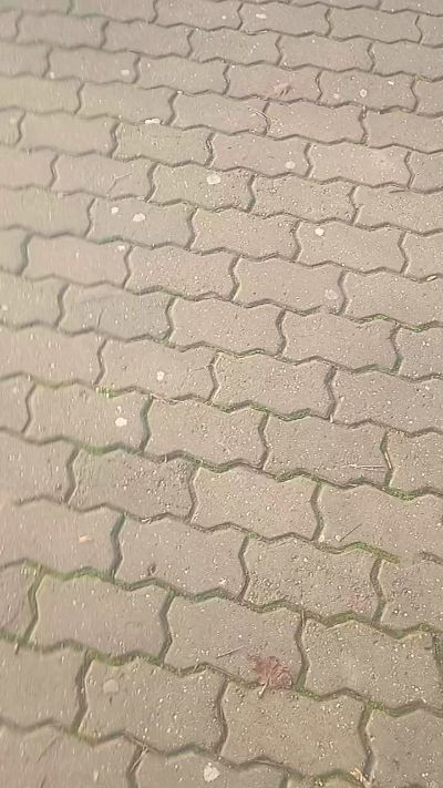 Alexutzu222222's Profile