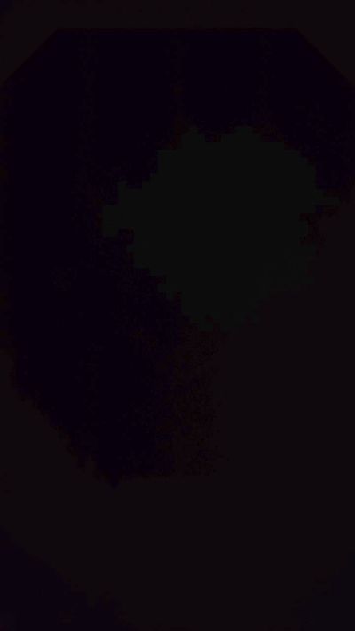 Anonimo3281's Profile