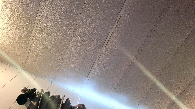 Aubreytruly18's Profile