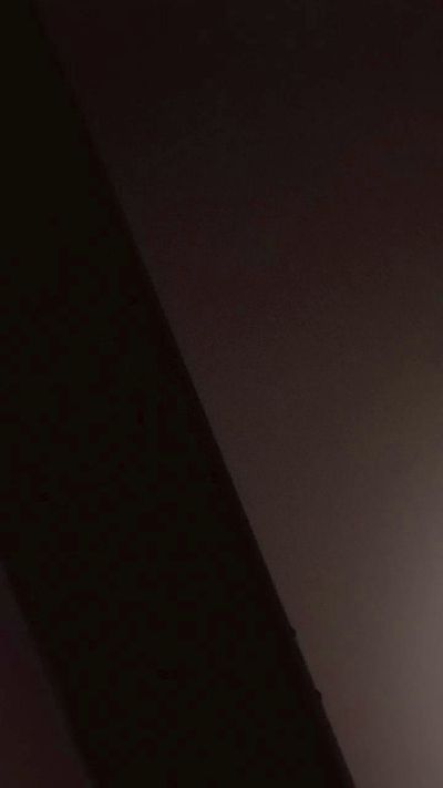 Cammamon55's Profile