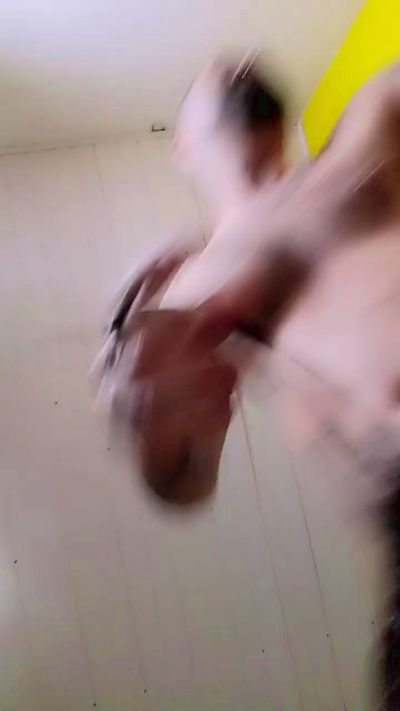 Casalrealizador's Profile