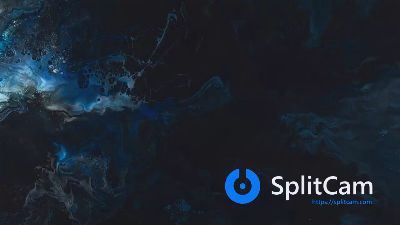 CatapultCorgi's Profile