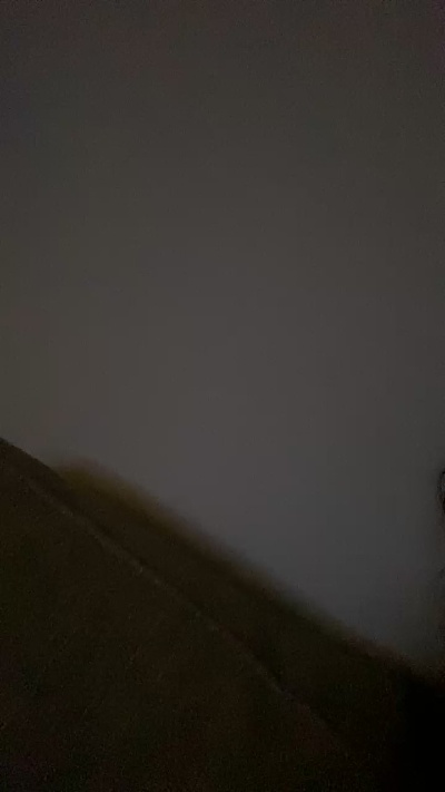 Coquitaarg's Profile