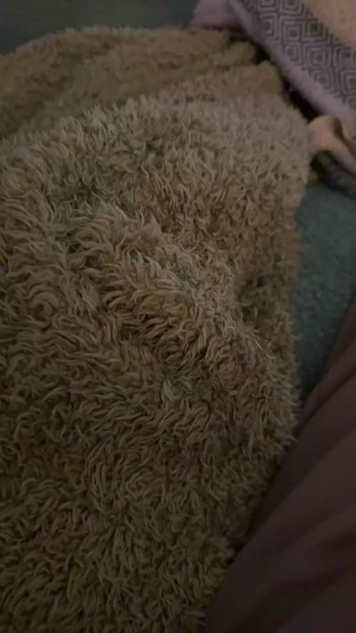 CraftyCok's Profile