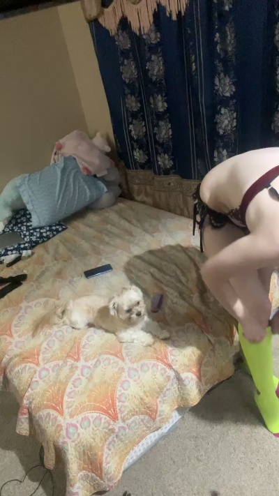 Daddykitten's Profile