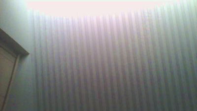 Dawid8v's Profile