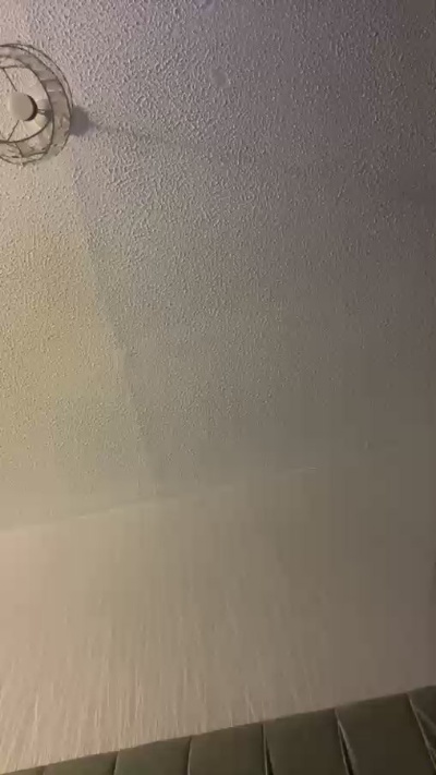 DemonD1987's Profile