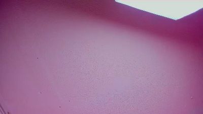 Dhara_cloy1's Profile
