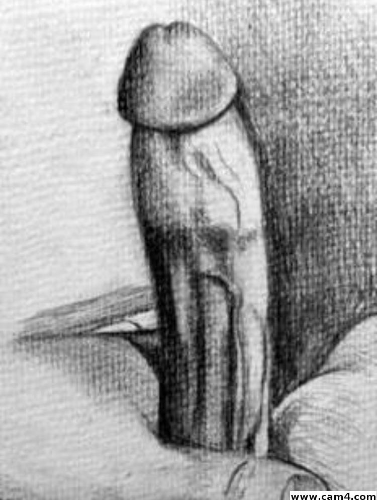 Donneurchaud's Profile