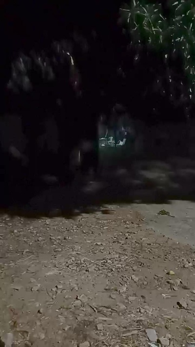 Dotados_sexy's Profile