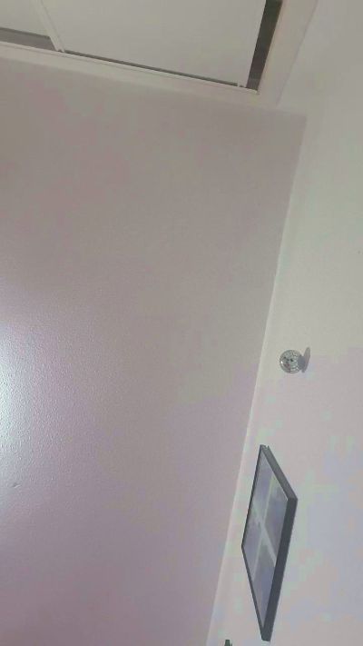 Estrelladita's Profile