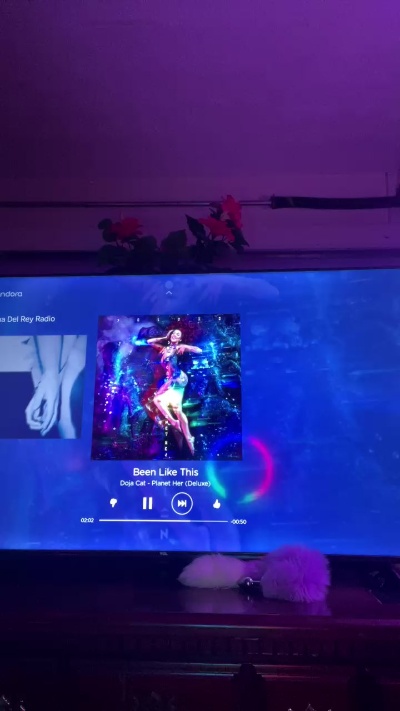 Garage_bebe's Profile