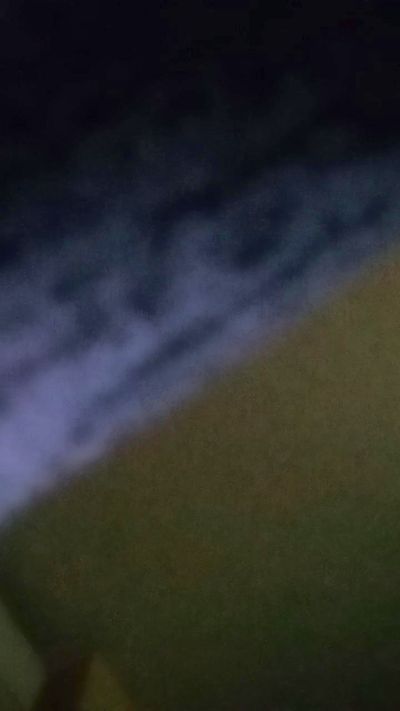 Granaino286's Profile