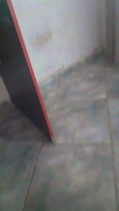 IrmaosPutao's Profile