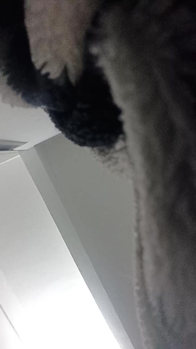 Jordan25cam's Profile