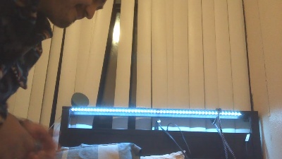 Ladiesman509's Profile