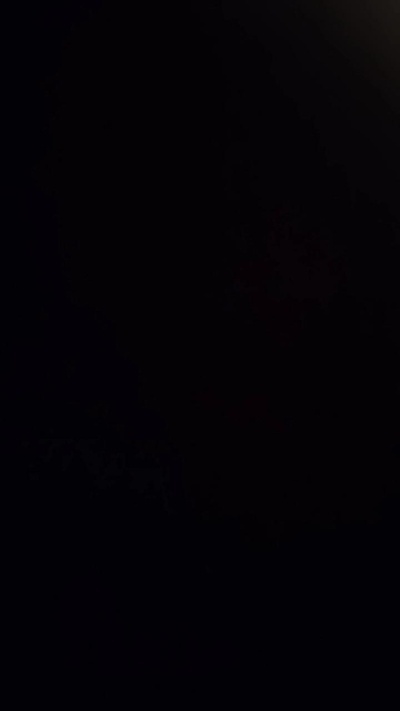 Lucasx999's Profile