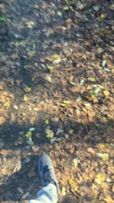 Lucifer6602's Profile