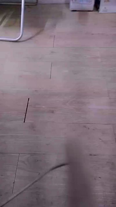 OFCNovinhoSP's Profile