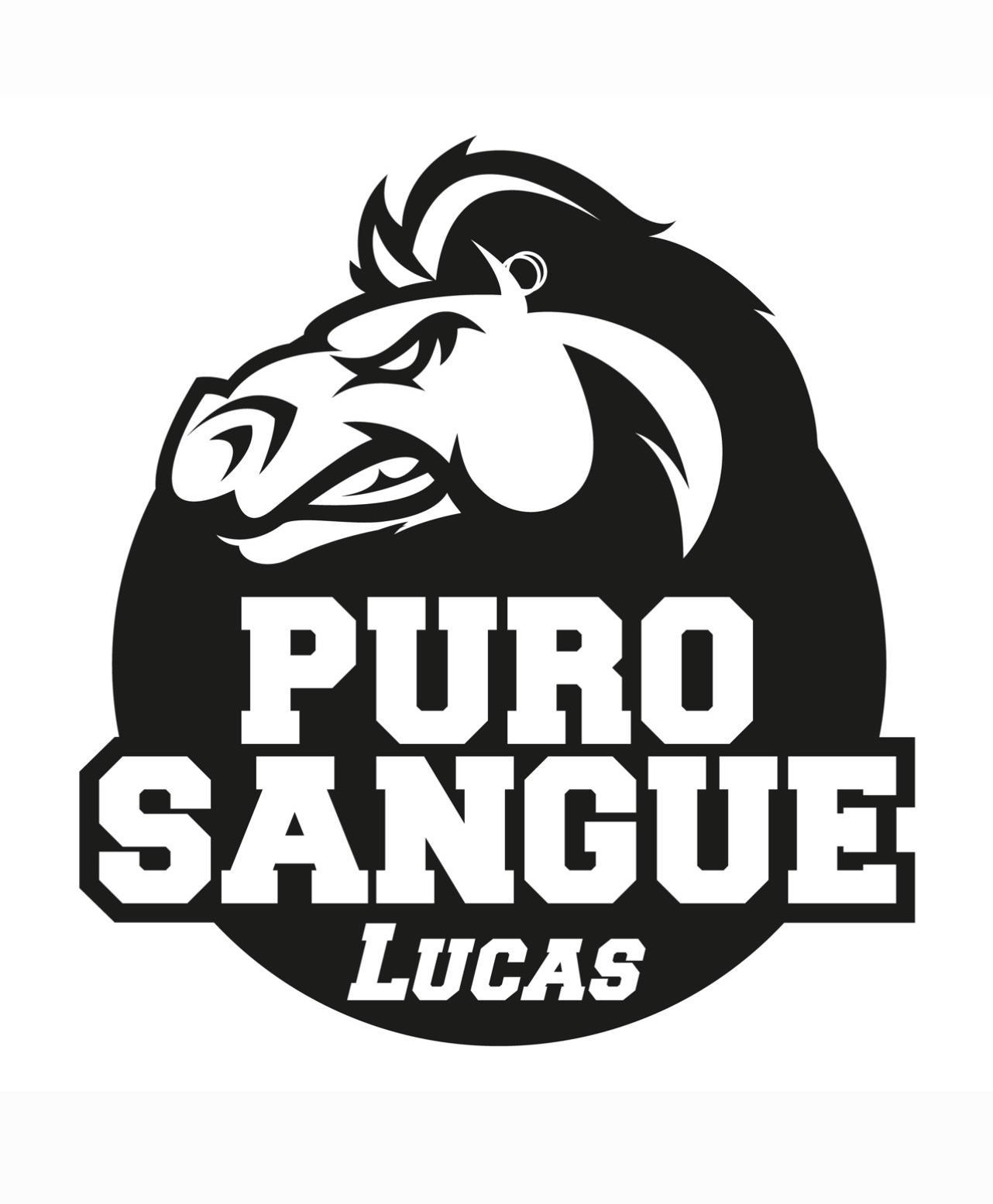 PUROSANGUE's Profile