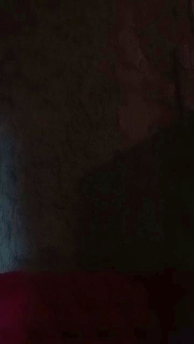 Petireinna's Profile