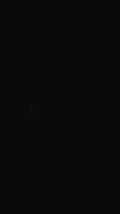 Pipinatorr's Profile