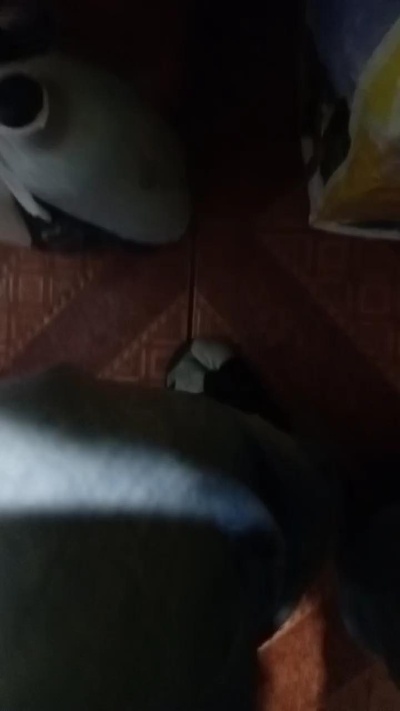 Poptreze's Profile