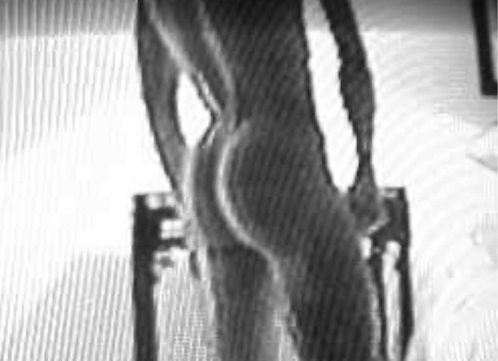 RodneyRoux Profile Image