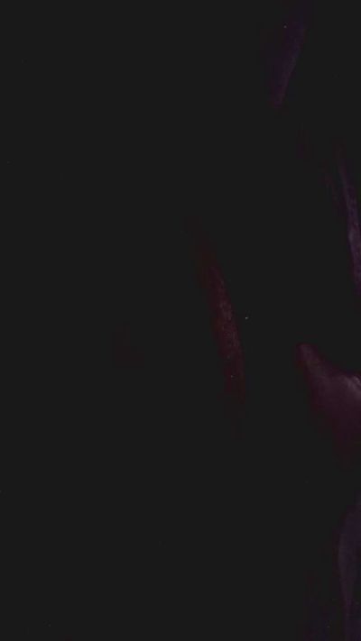 Rosarino94's Profile