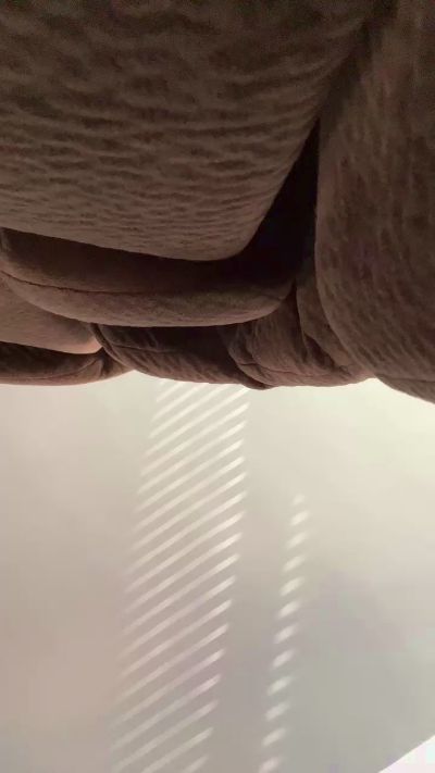 SPONGEBOBLOVER's Profile