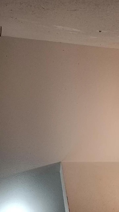 SiccVicc69's Profile