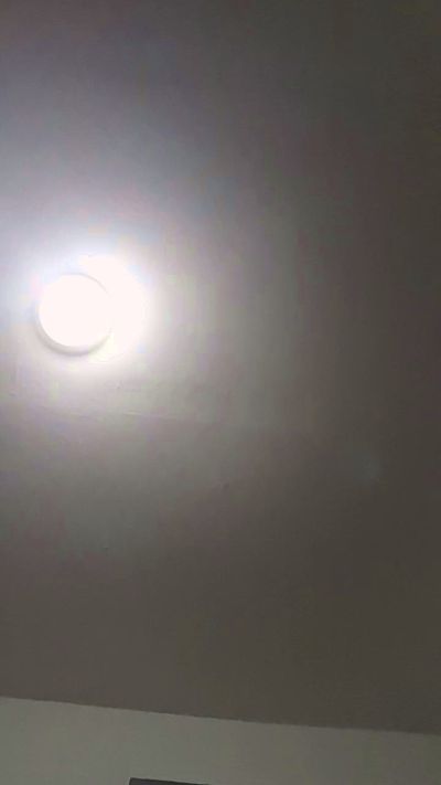 Staceyfantise's Profile