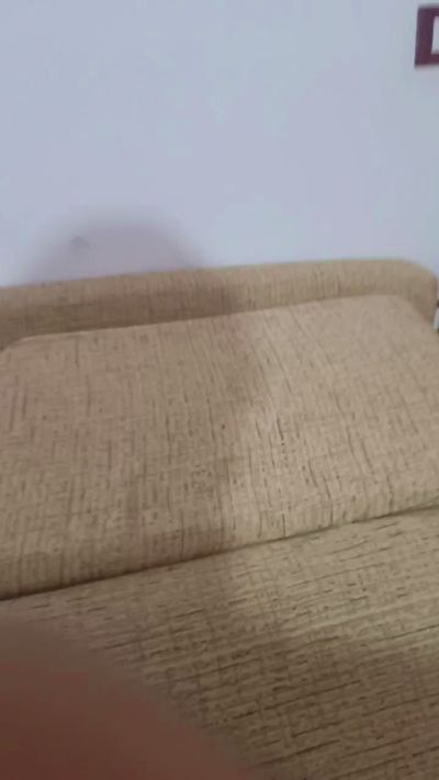 The_white_lion's Profile