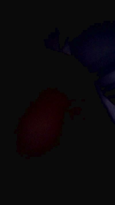 TinkyBellxxxx's Profile