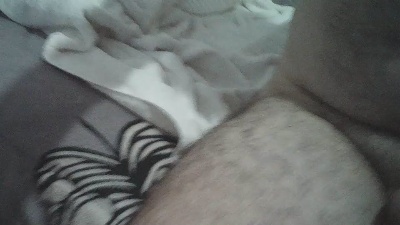 VigilanteBrasil's Profile