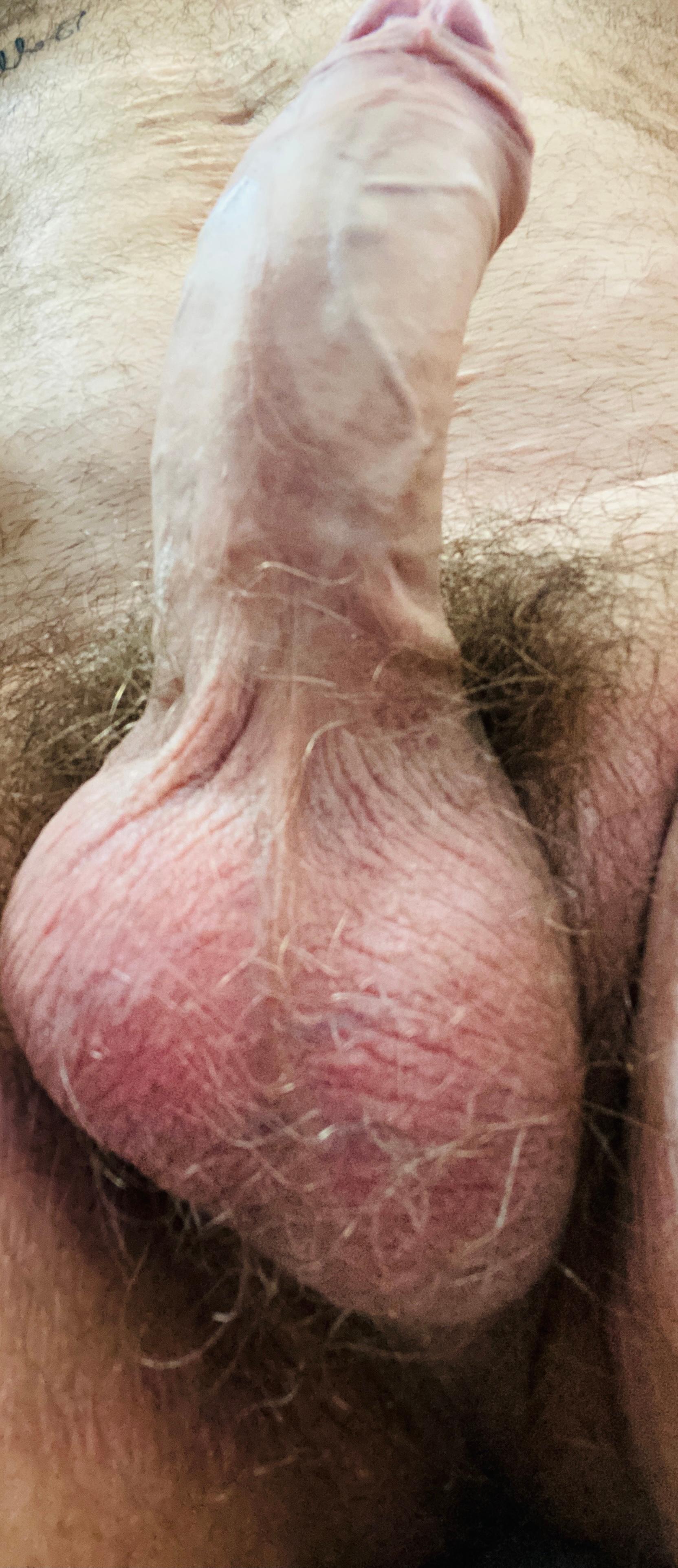 Voglia5x's Profile