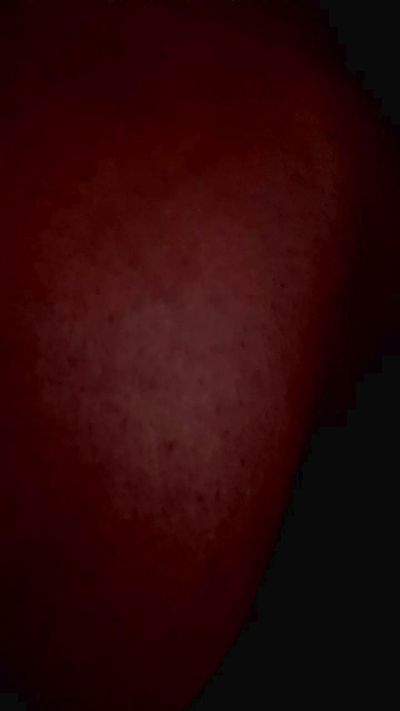 alexandrabxl1's Profile
