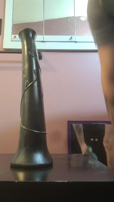 allinside19's Profile