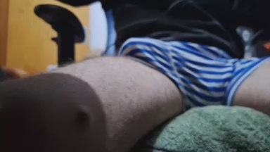 borcatto's Profile