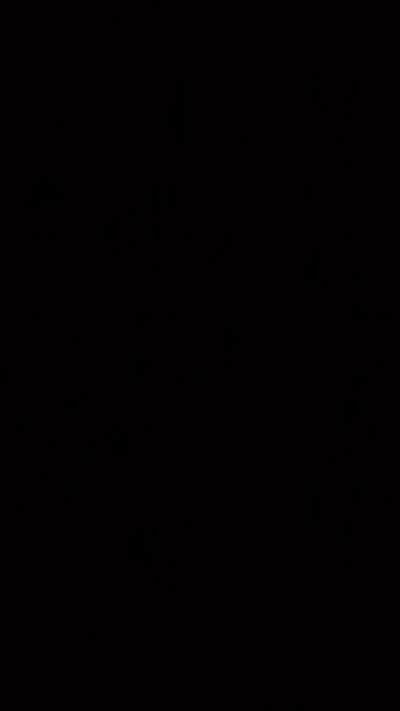 camiexotic's Profile