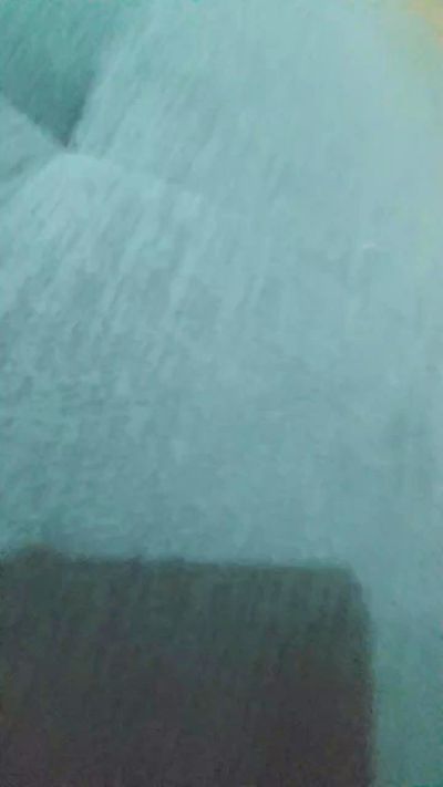 casaltop2_hot's Profile