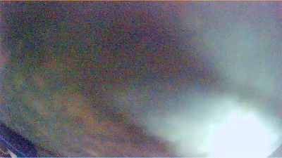 diabliya_1's Profile