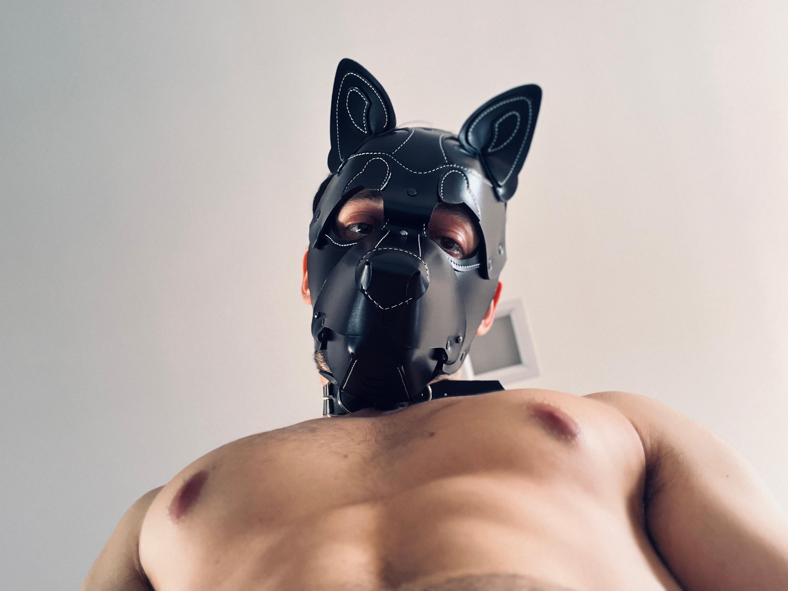 dogwithmask's Profile