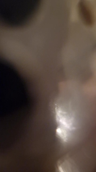 donghulio18's Profile