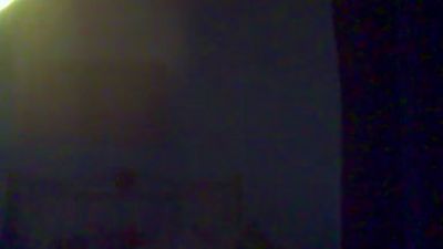 elsexologo19's Profile