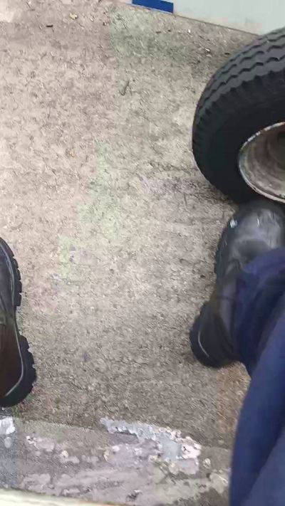 elver329 Profile Image