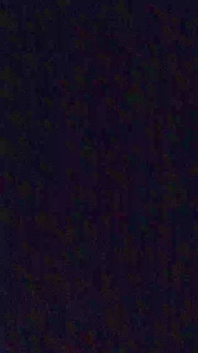 fragolechampag2's Profile