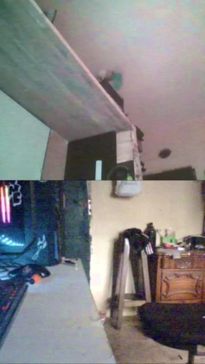 gecckorip_Po's Profile