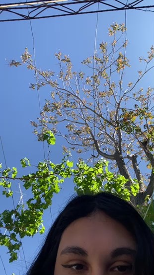 maguizxhot's Profile